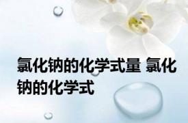 氯化钠的化学式量 氯化钠的化学式 