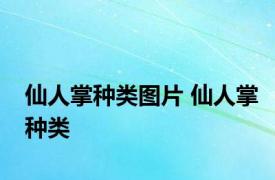 仙人掌种类图片 仙人掌种类 