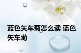 蓝色矢车菊怎么读 蓝色矢车菊 