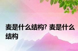 麦是什么结构? 麦是什么结构 