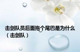 击剑队员后面拖个尾巴是为什么（击剑队）