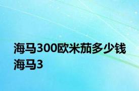 海马300欧米茄多少钱 海马3 