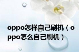 oppo怎样自己刷机（oppo怎么自己刷机）