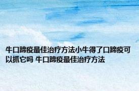 牛口蹄疫最佳治疗方法小牛得了口蹄疫可以抓它吗 牛口蹄疫最佳治疗方法 