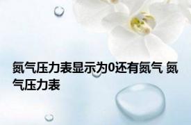 氮气压力表显示为0还有氮气 氮气压力表 