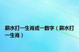 薪水打一生肖或一数字（薪水打一生肖）