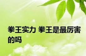 拳王实力 拳王是最厉害的吗 