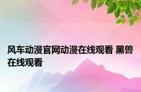 风车动漫官网动漫在线观看 黑兽在线观看 