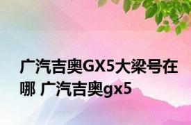 广汽吉奥GX5大梁号在哪 广汽吉奥gx5 