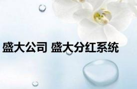 盛大公司 盛大分红系统 