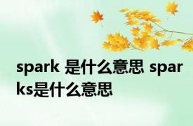 spark 是什么意思 sparks是什么意思 