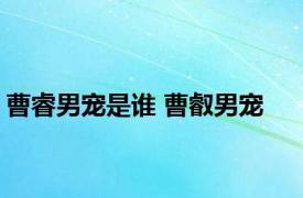 曹睿男宠是谁 曹叡男宠 