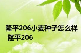 隆平206小麦种子怎么样 隆平206 