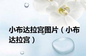 小布达拉宫图片（小布达拉宫）