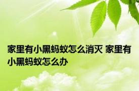 家里有小黑蚂蚁怎么消灭 家里有小黑蚂蚁怎么办 