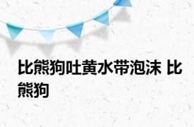 比熊狗吐黄水带泡沫 比熊狗 