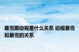 暴雪跟动视是什么关系 动视暴雪和暴雪的关系 