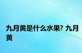 九月黄是什么水果? 九月黄 