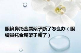 眼镜鼻托金属架子断了怎么办（眼镜鼻托金属架子断了）