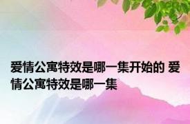 爱情公寓特效是哪一集开始的 爱情公寓特效是哪一集 