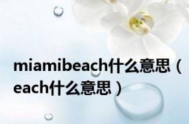 miamibeach什么意思（each什么意思）