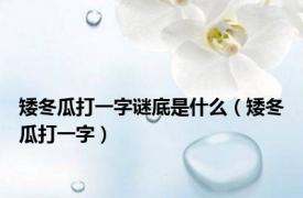 矮冬瓜打一字谜底是什么（矮冬瓜打一字）