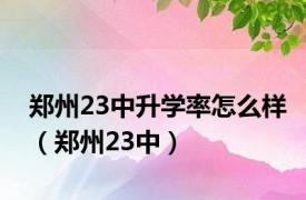 郑州23中升学率怎么样（郑州23中）