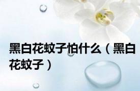 黑白花蚊子怕什么（黑白花蚊子）