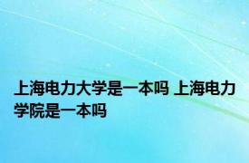 上海电力大学是一本吗 上海电力学院是一本吗 