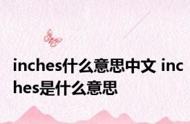 inches什么意思中文 inches是什么意思 