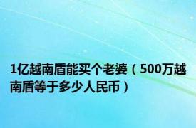 1亿越南盾能买个老婆（500万越南盾等于多少人民币）