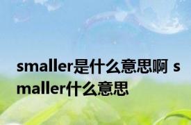 smaller是什么意思啊 smaller什么意思 