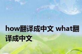 how翻译成中文 what翻译成中文 