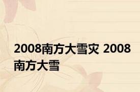 2008南方大雪灾 2008南方大雪 