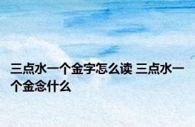 三点水一个金字怎么读 三点水一个金念什么 