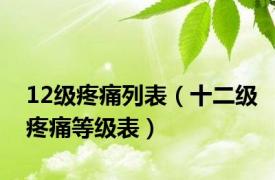 12级疼痛列表（十二级疼痛等级表）