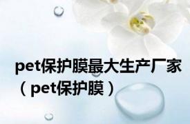 pet保护膜最大生产厂家（pet保护膜）