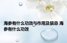 海参有什么功效与作用及禁忌 海参有什么功效 