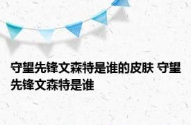 守望先锋文森特是谁的皮肤 守望先锋文森特是谁