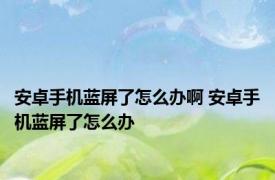 安卓手机蓝屏了怎么办啊 安卓手机蓝屏了怎么办