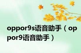 oppor9s语音助手（oppor9语音助手）