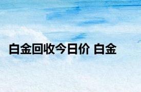 白金回收今日价 白金 