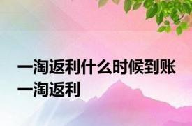 一淘返利什么时候到账 一淘返利 