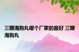 三鞭海狗丸哪个厂家的最好 三鞭海狗丸 