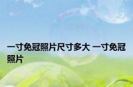 一寸免冠照片尺寸多大 一寸免冠照片 