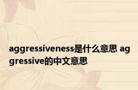 aggressiveness是什么意思 aggressive的中文意思 