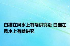 白猫在风水上有啥讲究没 白猫在风水上有啥讲究 