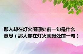 那人却在灯火阑珊处前一句是什么意思（那人却在灯火阑珊处前一句）