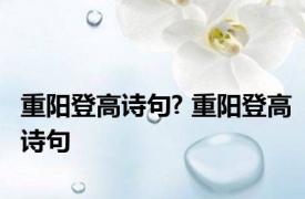 重阳登高诗句? 重阳登高诗句 