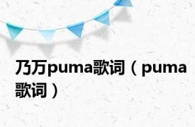 乃万puma歌词（puma歌词）